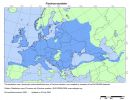 Verbreitung von Fraxinus excelsior